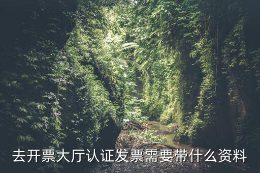 去開票大廳認證發票需要帶什么資料