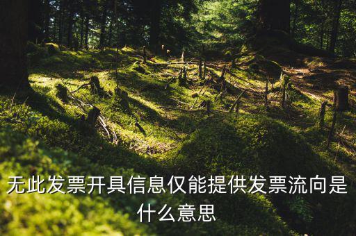 無此發票開具信息僅能提供發票流向是什么意思