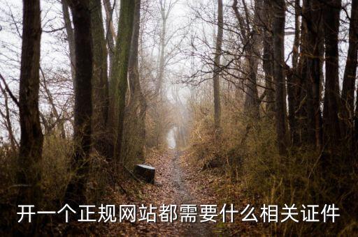 開一個正規網站都需要什么相關證件