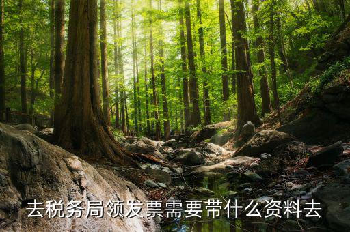 領發票都要帶什么，去稅務局領發票需要帶什么資料去