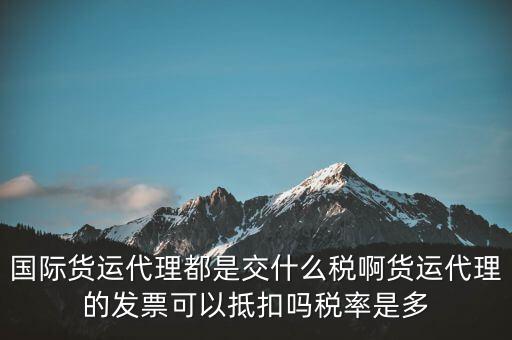 貨代公司交什么稅，國際貨運代理都是交什么稅啊貨運代理的發票可以抵扣嗎稅率是多