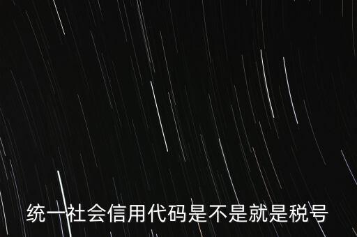 統一社會信用代碼是不是就是稅號