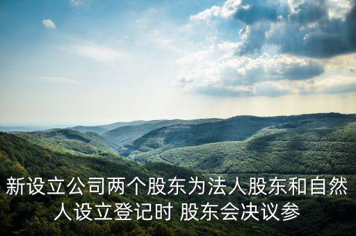 新設(shè)立公司兩個(gè)股東為法人股東和自然人設(shè)立登記時(shí) 股東會決議參