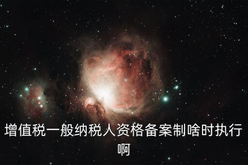 增值稅一般納稅人資格備案制啥時執行啊