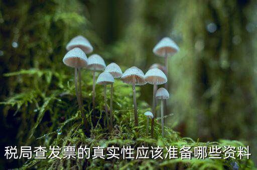 稅局查發票的真實性應該準備哪些資料