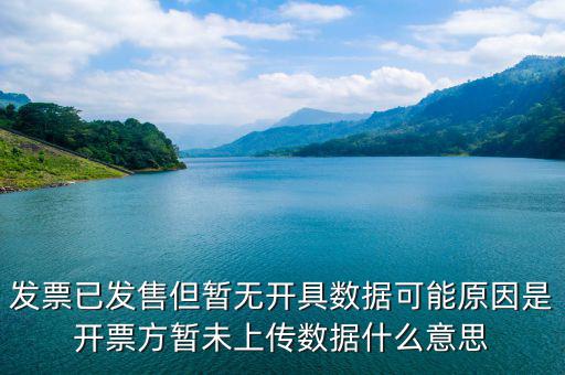 發票已發售但暫無開具數據可能原因是開票方暫未上傳數據什么意思