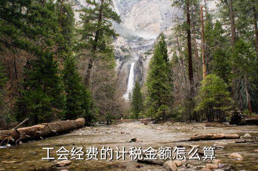 工會經費的計稅金額怎么算