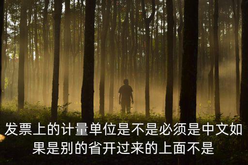 發票上的計量單位是不是必須是中文如果是別的省開過來的上面不是