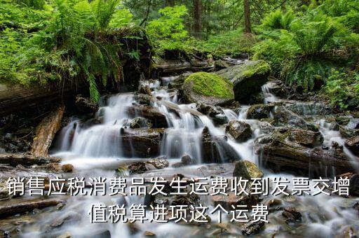 銷售應(yīng)稅消費(fèi)品發(fā)生運(yùn)費(fèi)收到發(fā)票交增值稅算進(jìn)項(xiàng)這個運(yùn)費(fèi)