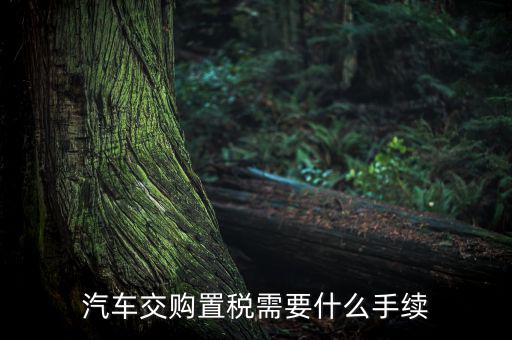 汽車交購置稅需要什么手續