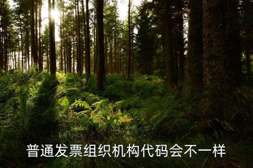 普通發(fā)票組織機(jī)構(gòu)代碼會不一樣