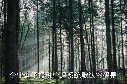 電子稅務局的初始密碼是什么，稅務局網站的登入賬戶初始密碼是什么