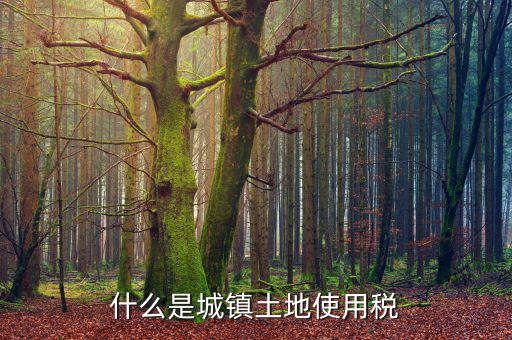 什么是城鎮土地使用稅