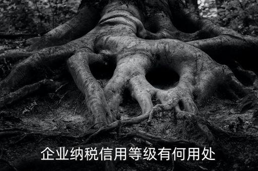 企業納稅信用等級有何用處