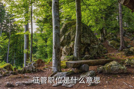 稅政 征管業務崗是什么，縣國稅局里面的業務科的主要職能是什么平時都做什么工作哪位