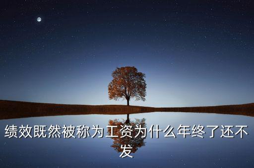績效既然被稱為工資為什么年終了還不發