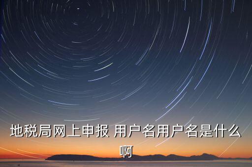 地稅局網上申報 用戶名用戶名是什么啊