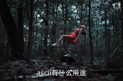 稅優(yōu)識(shí)別碼有什么用，ascii有什么用途