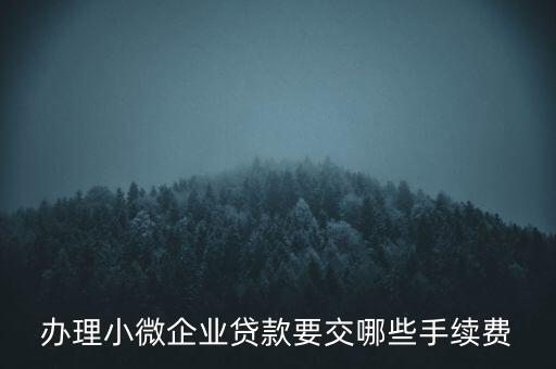 辦理小微企業貸款要交哪些手續費