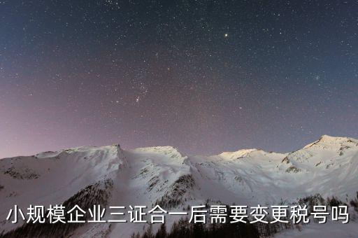 什么情況需要變更稅號，小規模企業三證合一后需要變更稅號嗎