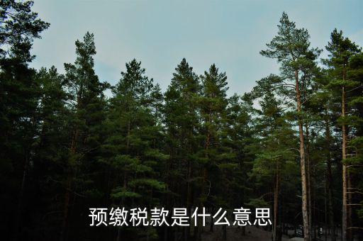 已預(yù)繳稅費指什么，預(yù)繳稅款是什么意思