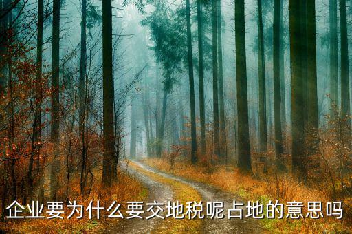 企業要為什么要交地稅呢占地的意思嗎