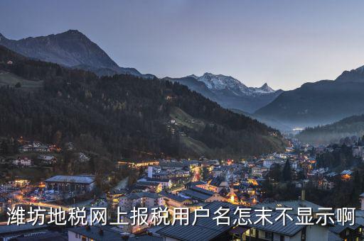 濰坊地稅網上報稅用戶名怎末不顯示啊