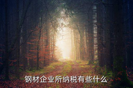 鋼材企業所納稅有些什么