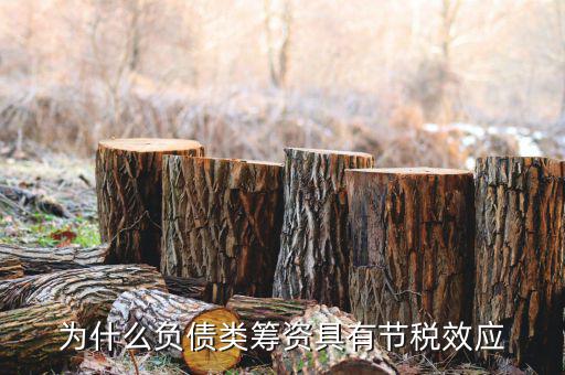 什么是節稅，為什么負債類籌資具有節稅效應