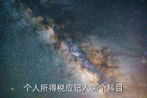 個人所得稅應(yīng)記入哪個科目