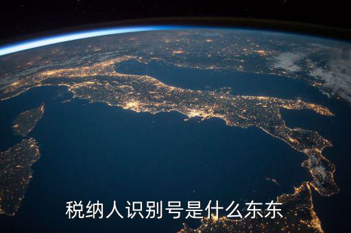 企業稅務識別號是什么意思，稅納人識別號是什么東東