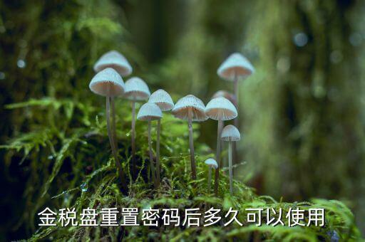 ca國稅密碼重置后是什么，樂稅社區稅友提問CA登錄時的密碼是什么納稅人自己定的還是稅