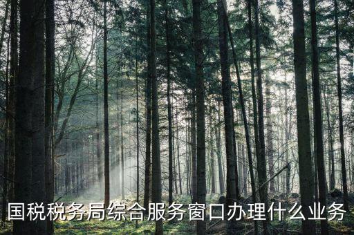 國稅稅務局綜合服務窗口辦理什么業務