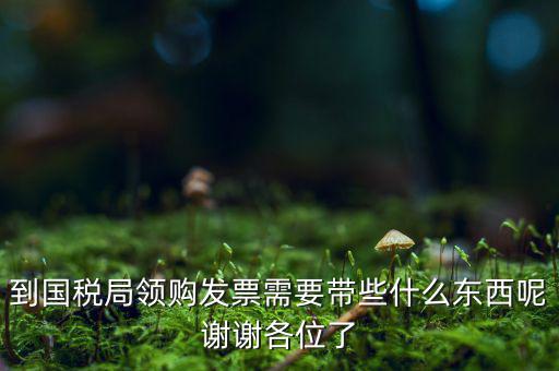 國稅局領票帶什么東西，去稅務局領發票需要帶什么資料去