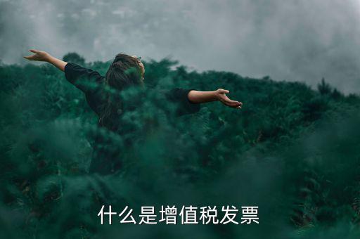 什么是增值稅發票
