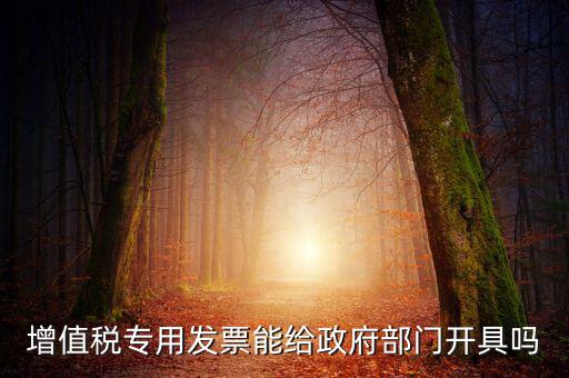 什么內容的發票不可以給政府部門，增值稅專用發票能給政府部門開具嗎