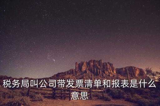 發票清單是什么意思，稅務局叫公司帶發票清單和報表是什么意思