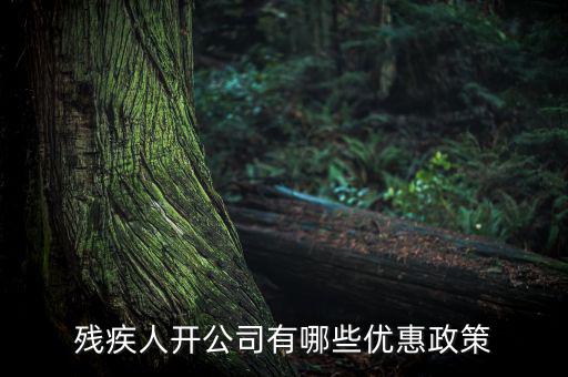 殘疾人開公司有哪些優惠政策