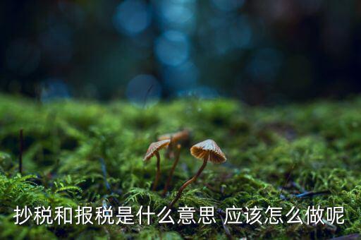 抄稅和報稅是什么意思 應該怎么做呢