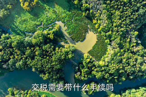 交稅需要帶什么手續嗎