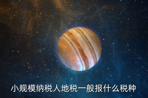 小規模納稅人地稅一般報什么稅種