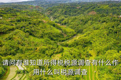 稅源調查是什么，稅源調查的數據是不是作為交稅的依據