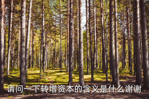 什么是利潤轉增資，什么叫轉增資本通俗一點越白話越好