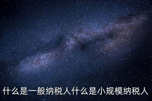 什么是一般納稅人什么是小規模納稅人