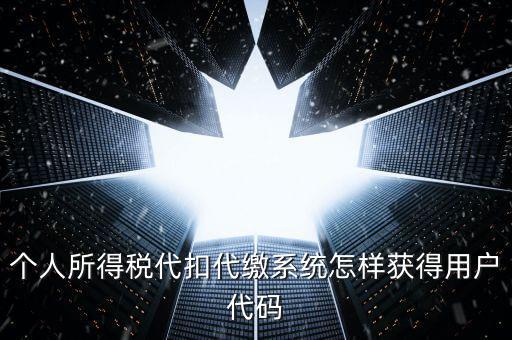 個人所得稅代扣代繳系統怎樣獲得用戶代碼