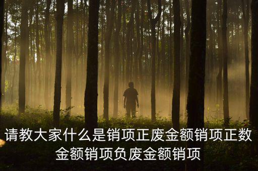 請教大家什么是銷項正廢金額銷項正數金額銷項負廢金額銷項