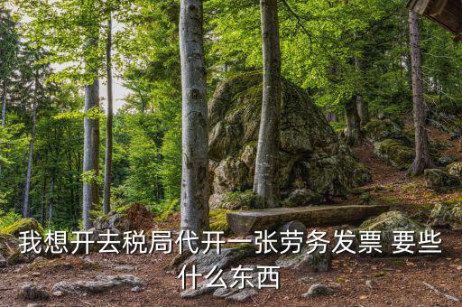 開勞務票需要什么條件，我想開去稅局代開一張勞務發票 要些什么東西