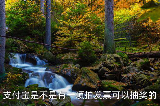 支付寶是不是有一項拍發票可以抽獎的