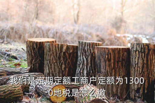 地稅定期定額戶是什么意思，我們是定期定額工商戶定額為13000地稅是怎么繳