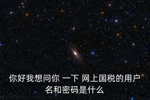 什么是電子稅務局密碼，你好我想問你 一下 網上國稅的用戶名和密碼是什么